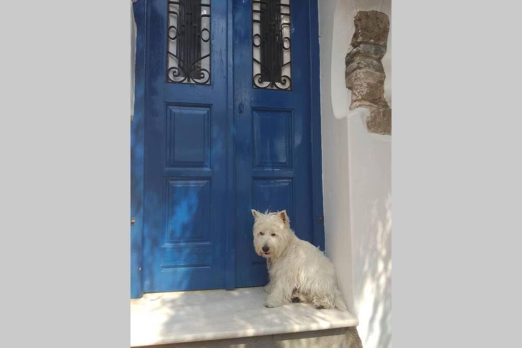 加里尼Blue & White: An Absolute Aegean Dream House别墅 外观 照片